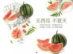 活动夏日吃瓜季,尽享清凉“瓜”界盛宴  第1张